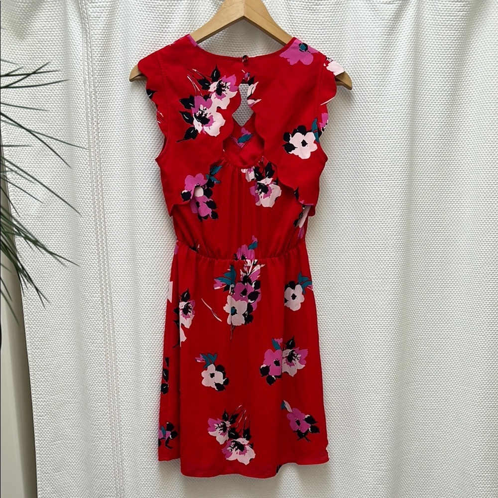 41 Hawthorn Red Floral Mini Sundress with Cap Sleeves - Picture 7 of 7